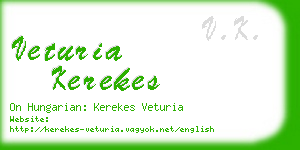 veturia kerekes business card